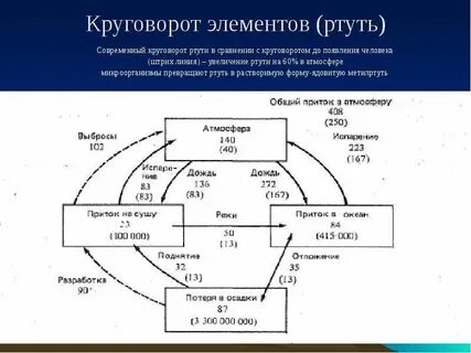 Круговорот какого элемента