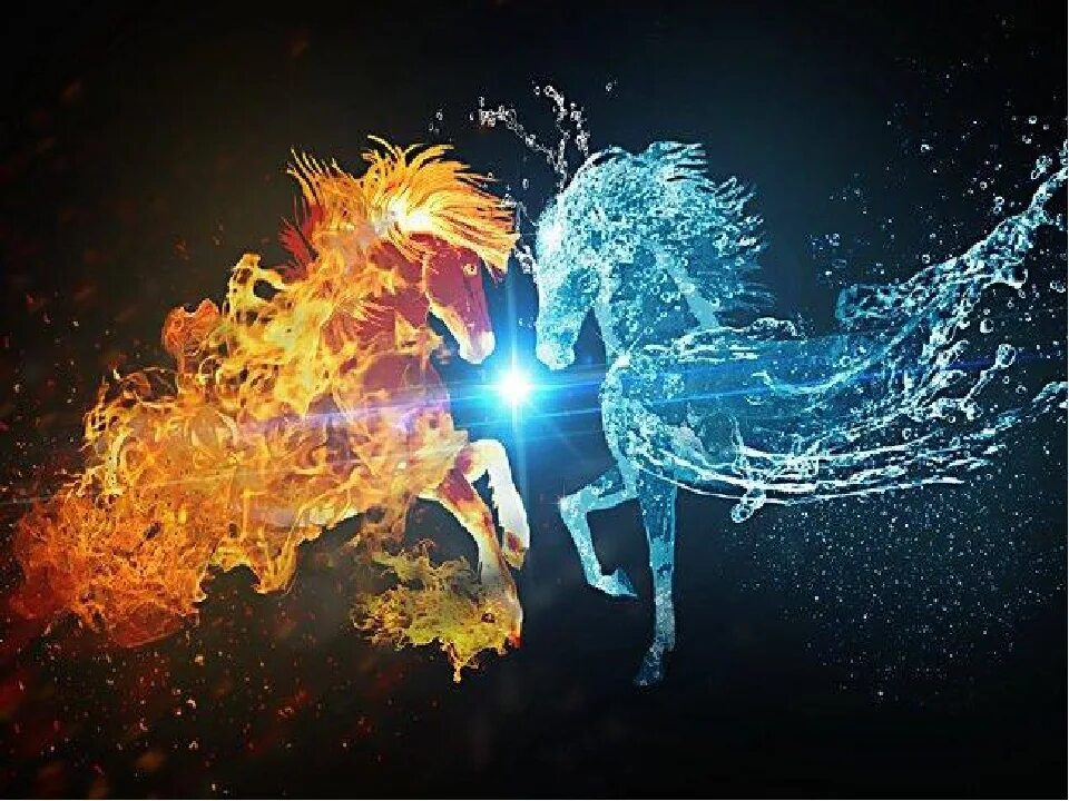 Стихия сердец. Две стихии огонь и вода. Лошади стихий. Стихия огня и воды. Огненная лошадь.