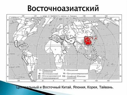 Южноазиатский тропический