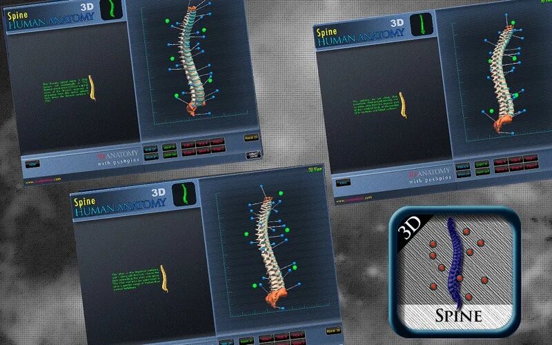 Spine дата выхода. Spine игра. spine 2d. spine эмулятор. spine nekki.
