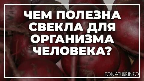 Свекла польза и вред как приготовить