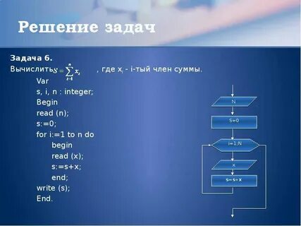Одноклеточная амеба каждые 2 часа