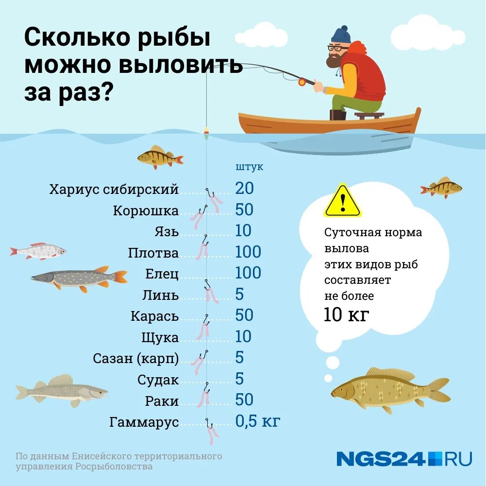 Правила рыбалки. Правила рыбака. Правило рыбака. Правила вылова рыбы.