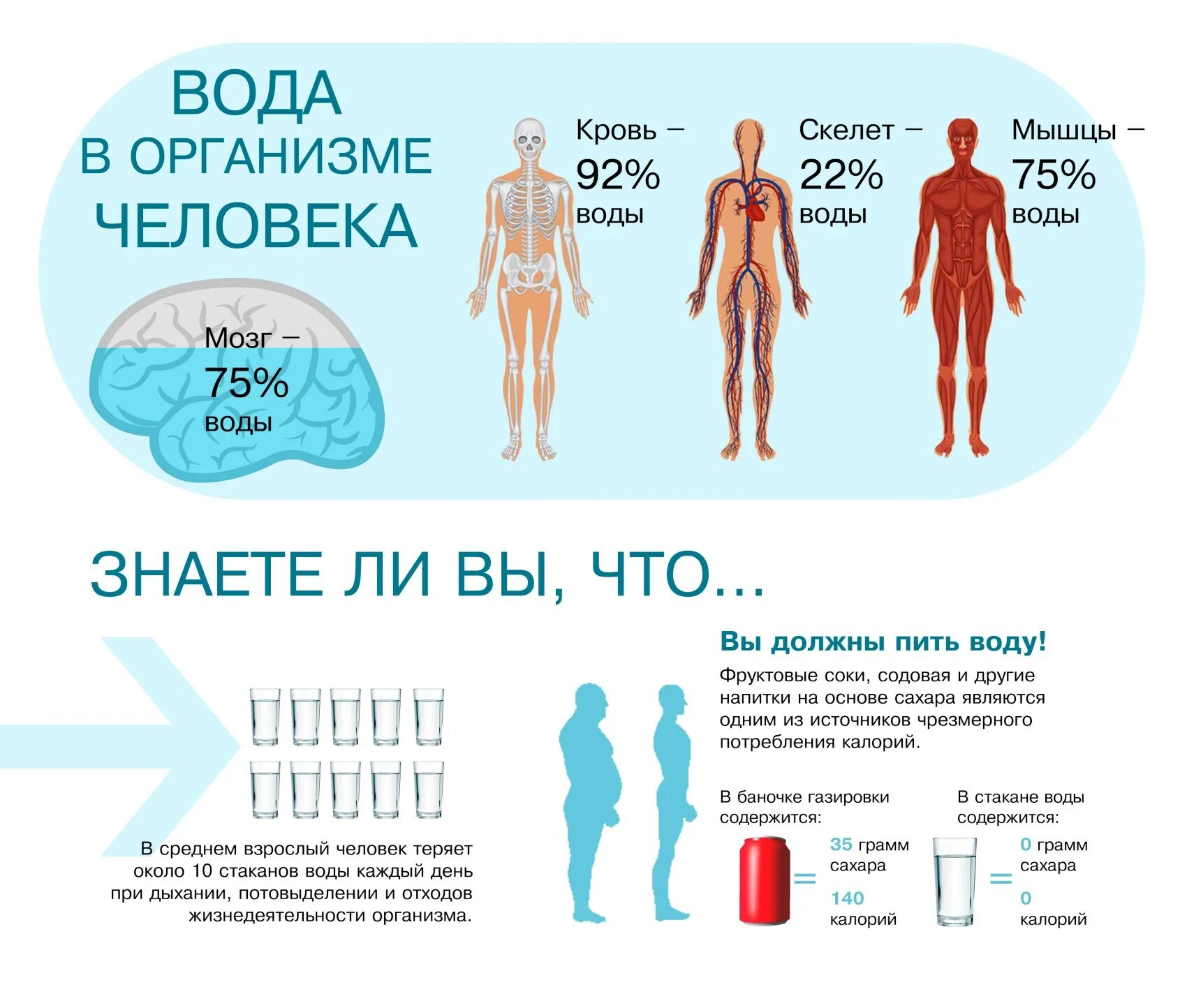 Что нужно пить для организма. Вода в организме. Ода в организме человека.. Вода в человеческом организме. Баланс воды в организме.