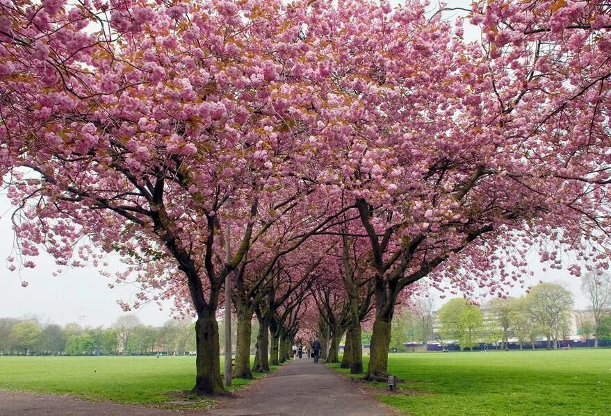 Spring views