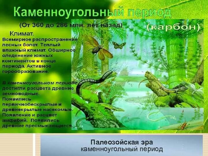 Путешествие в лес каменноугольного периода. Период каменноугольный событие. Период каменноугольный событие. Карбон период палеозойской эры. Период каменноугольный событие.