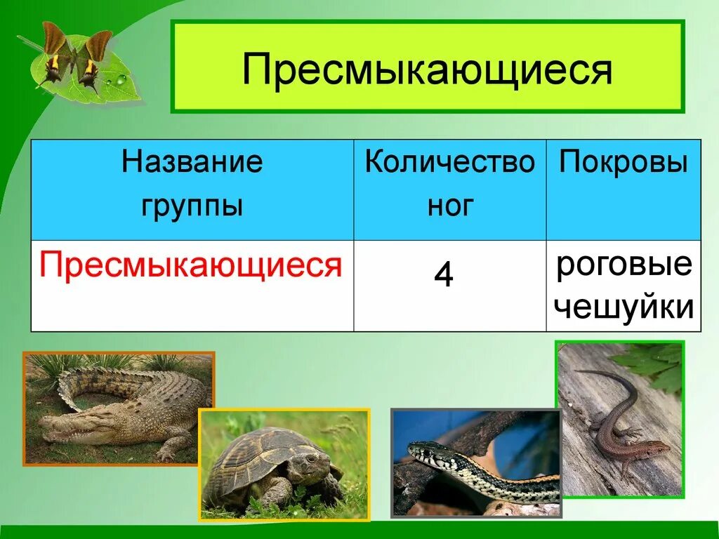 Примеры животных 2 класс окружающий. Название пресмыкающихся. группа животных пресмыкающиеся. пресмыкающиеся примеры. пресмыкающиеся покров.
