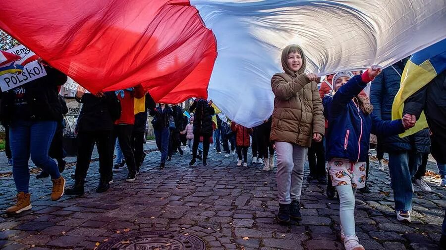 Население польши. Национальные меньшинства польши. Поляки страна. Польша поляки. Поляки страна.