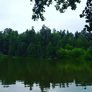Алексеевский балашиха