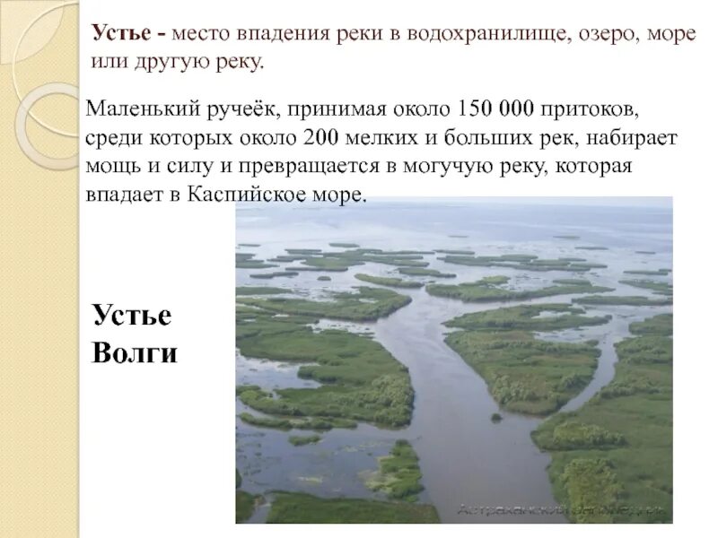 Как изменилась река волга. Исток и Устье реки Волга. Исток и Дельта Волги. Устье место впадения реки Волги. Река Волга Исток и Устье притоки.