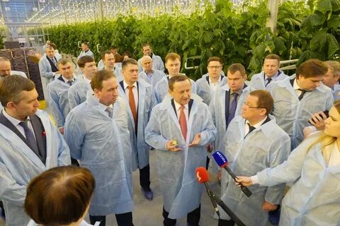 Ярославские тендеры