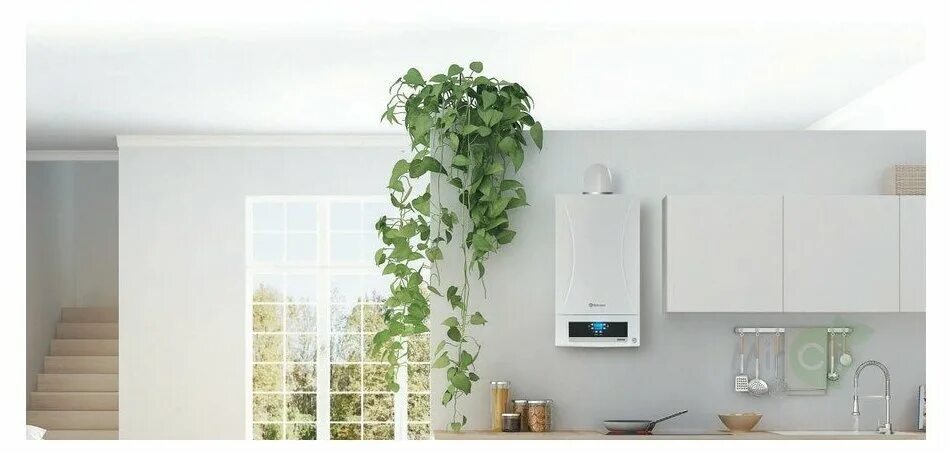Настенный котел газовый термекс двухконтурный 24. Газовый котел thermex 24. Thermex euroelite f24 котёл настенный газовый. Thermex chief 7000. Thermex euroelite f24 котёл настенный газовый.