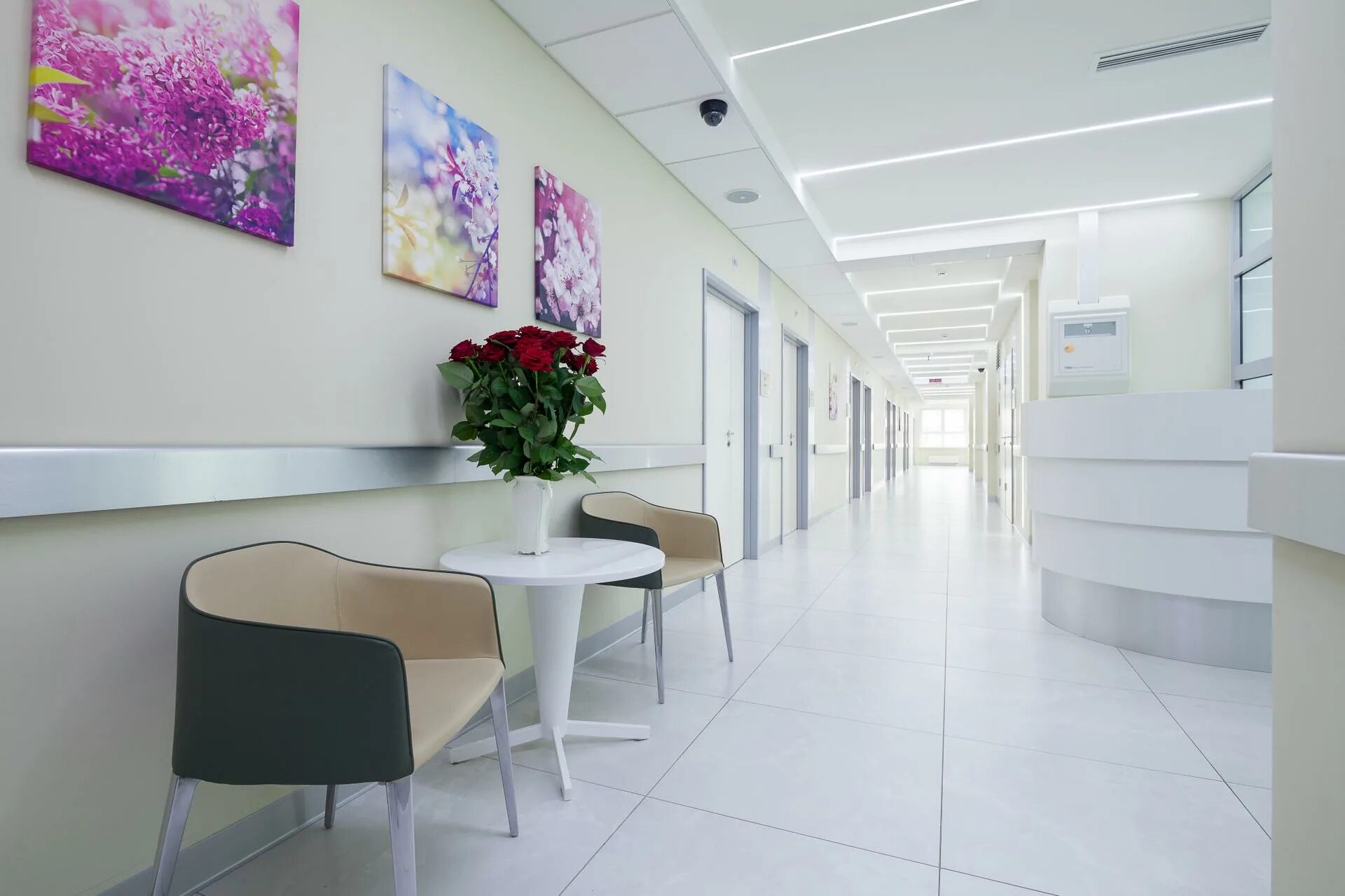 Бюст клиника москва. Ольховская. Институт косметологии ул ольховская. Улица ольховская 27 клиника. Ул ольховская 27 институт пластической.