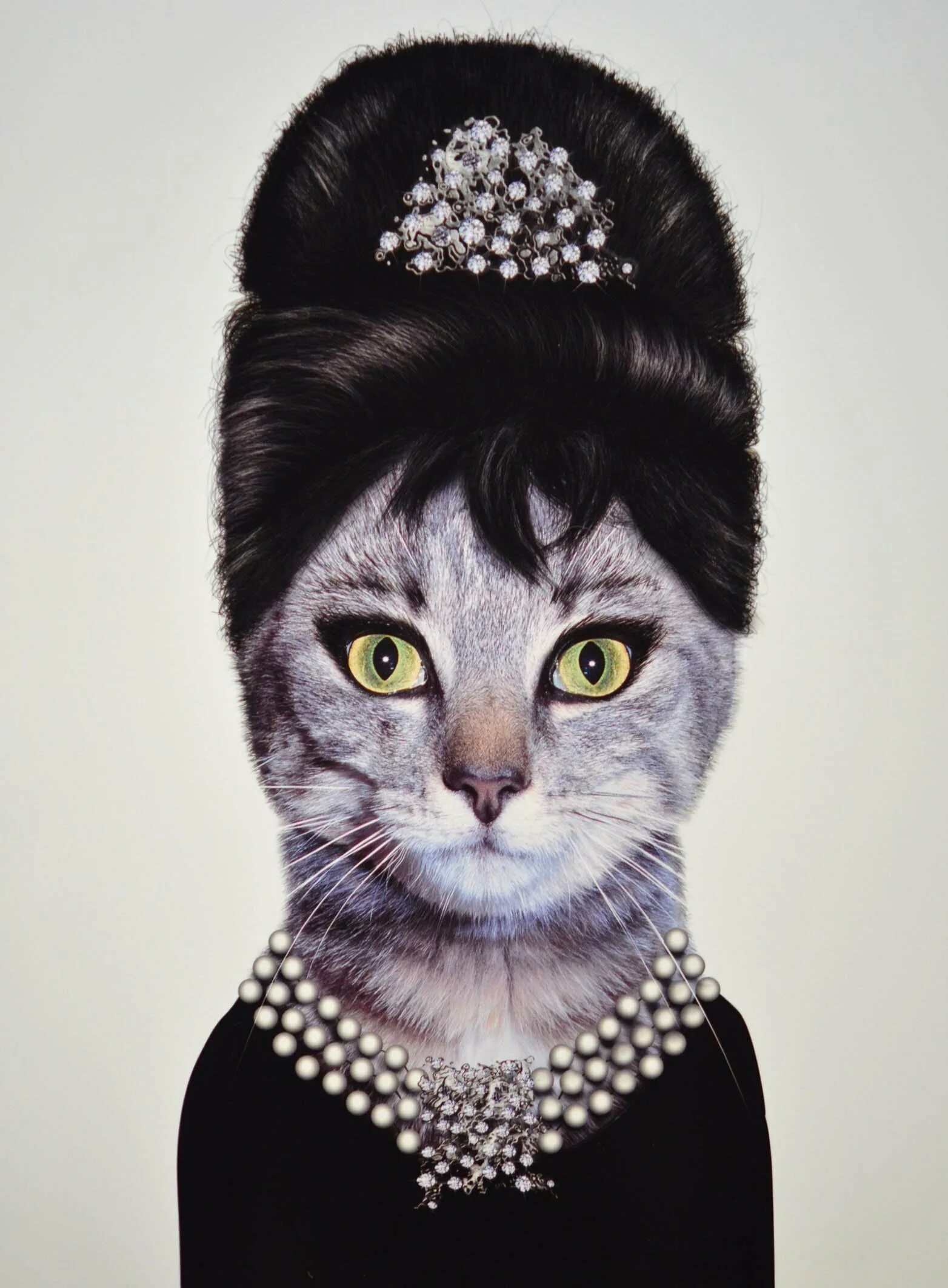 Ава кис. Кошка Одри Хепберн. Одри Хэпберн с кошкой. Модная кошка. Элегантные коты.