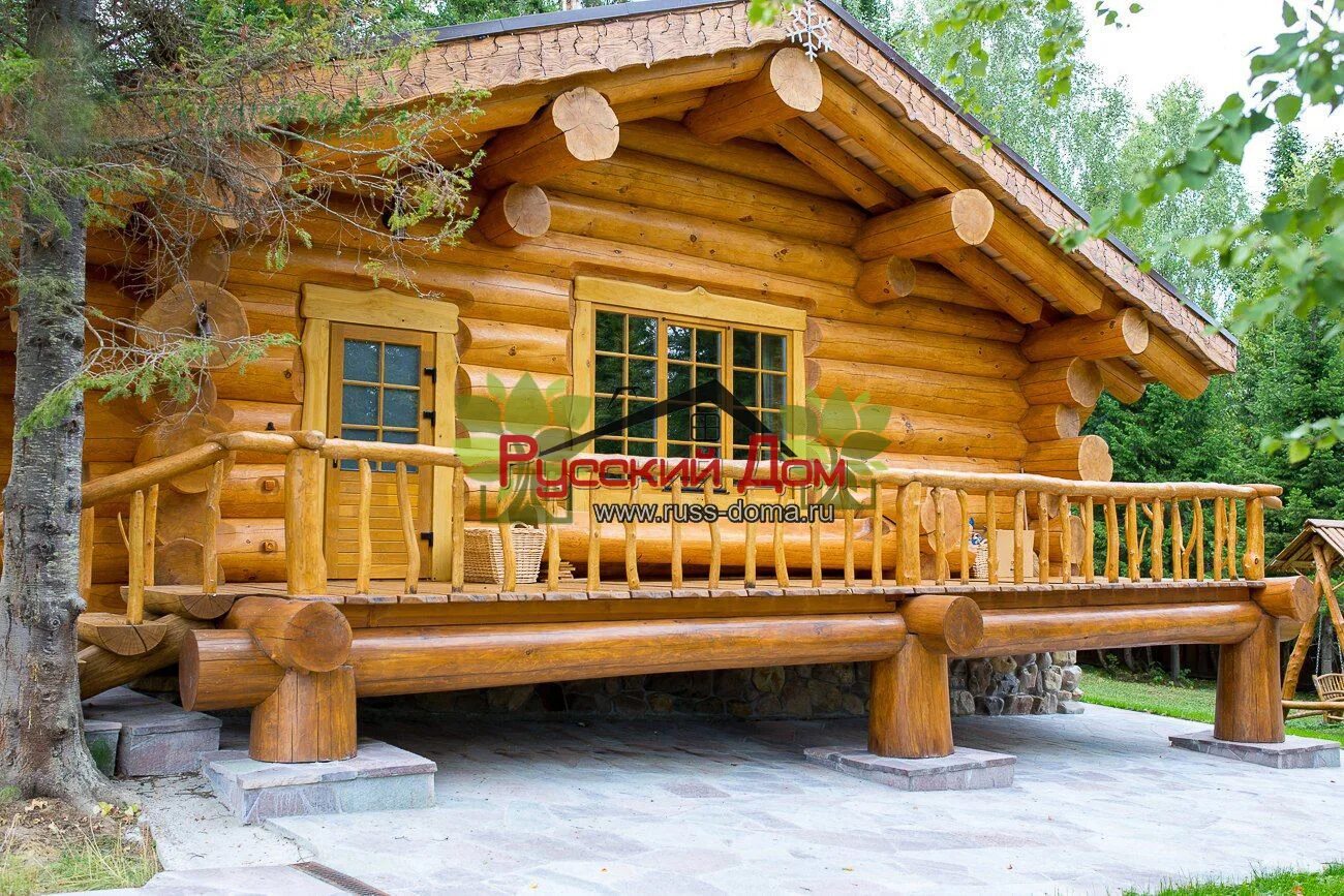 Сибирский кедр сруб. Баня из сибирского кедра. Сруб бани из кедра. Дикий сруб кедр. Баня из бревна большого диаметра.