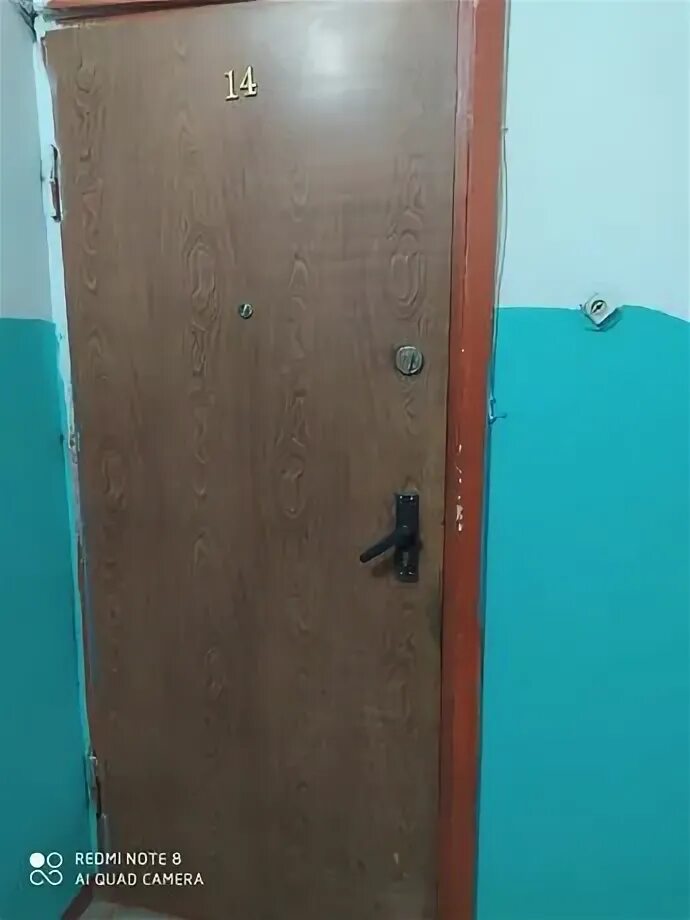 Дверь ракушка