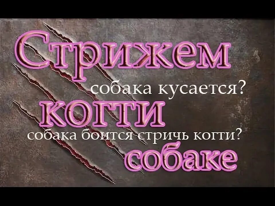Как когти кусаются. Как когти кусаются