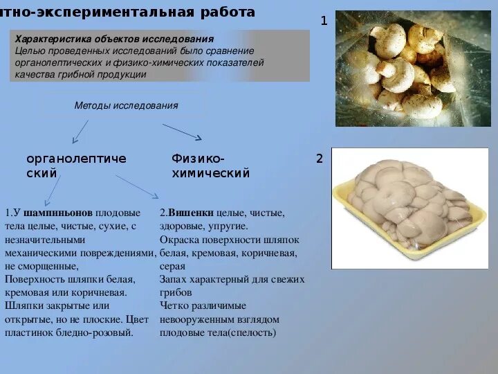 Шампиньоны это белок. Органолептическая оценка грибов. Органолептическая оценка качества грибов. Показатели качества грибов. Органолептическая оценка шампиньонов.