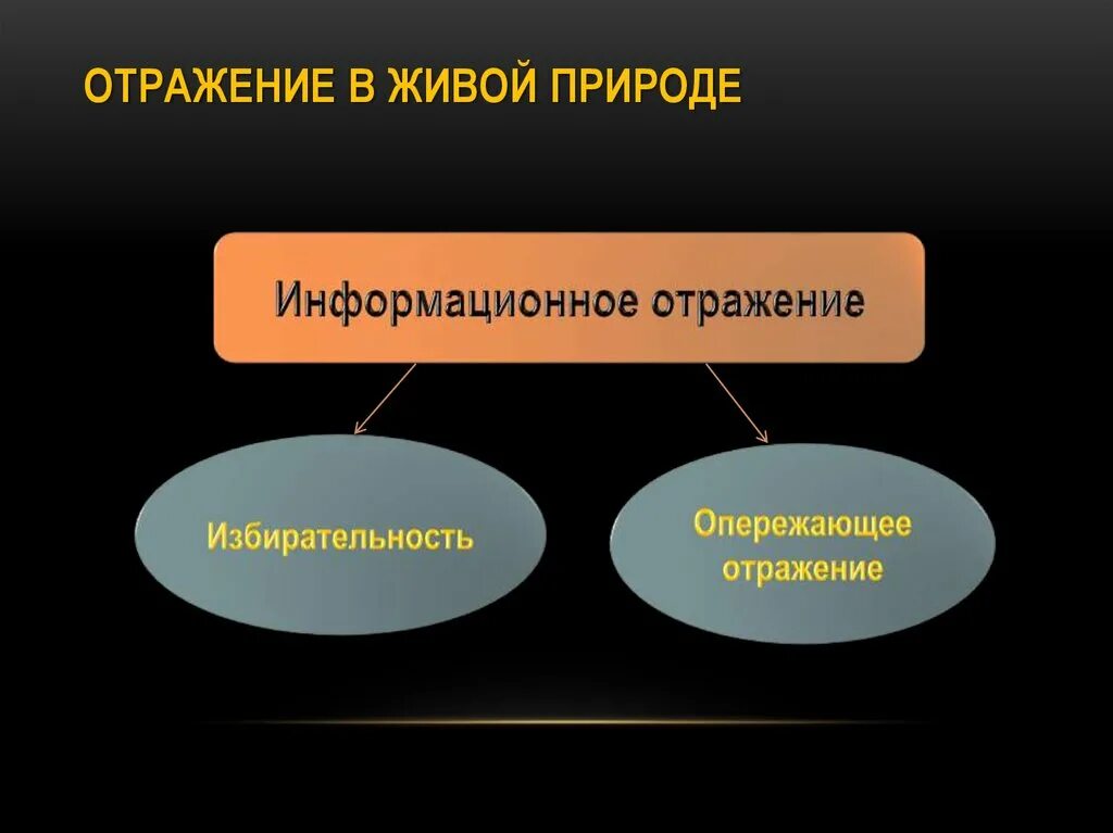 Что отражается в форме в. Что такое информационное отражение в философии. Отражательная природа сознания философия. Отражение в живой природе философия. Отражение в живой природе сознание.