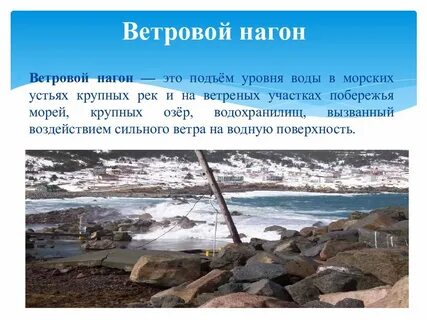 Морские устья рек