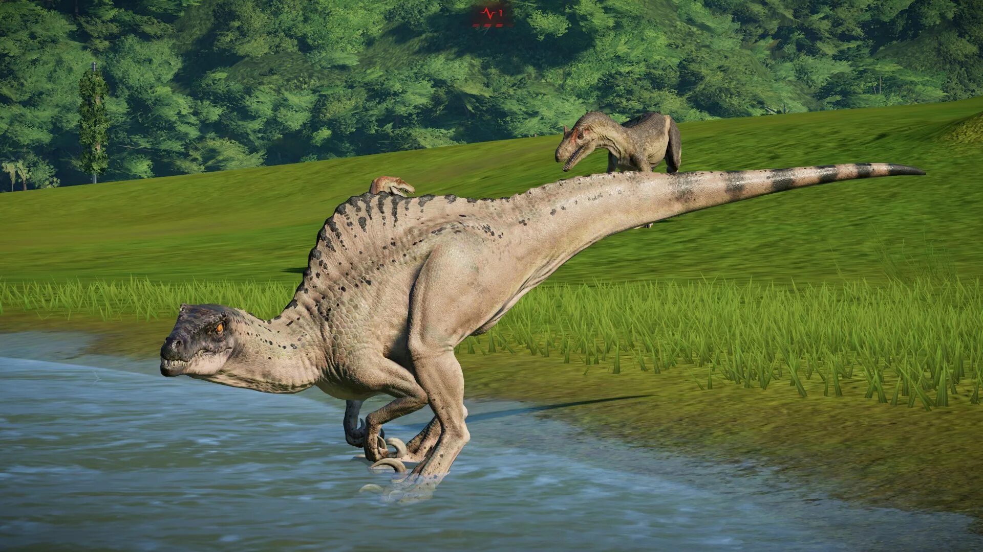 Спинораптор. Спинозавр гибрид. Спинораптор динозавр.