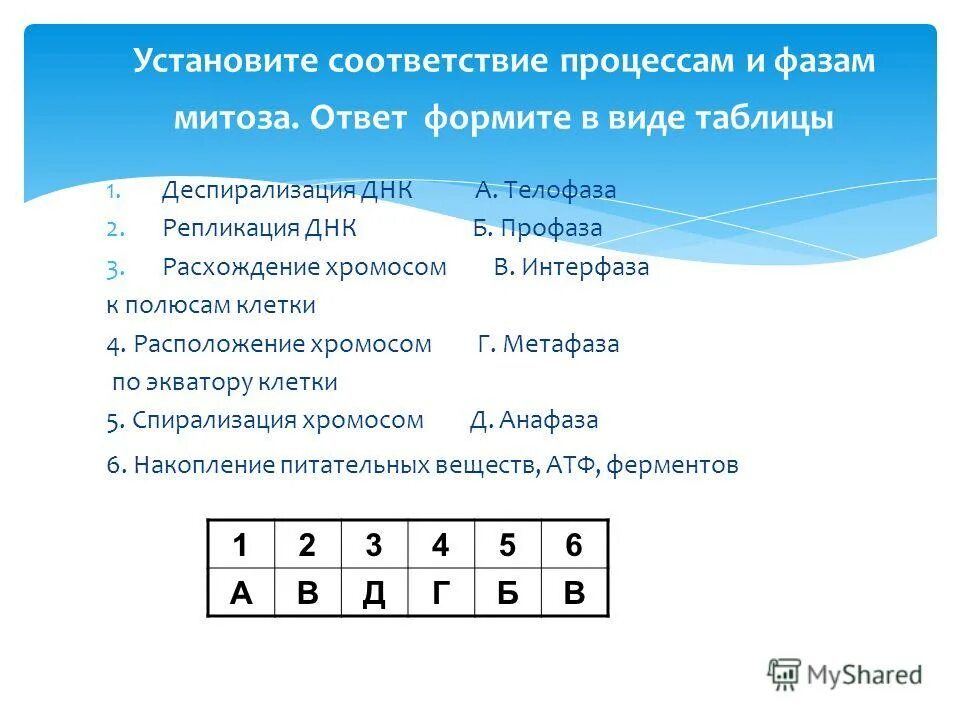 Схема деления мейоза. Процессы митоза по порядку. Митоз фазы и значение. Таблица фазы митоза 9 класс биология. Фазы деления митоза таблица.