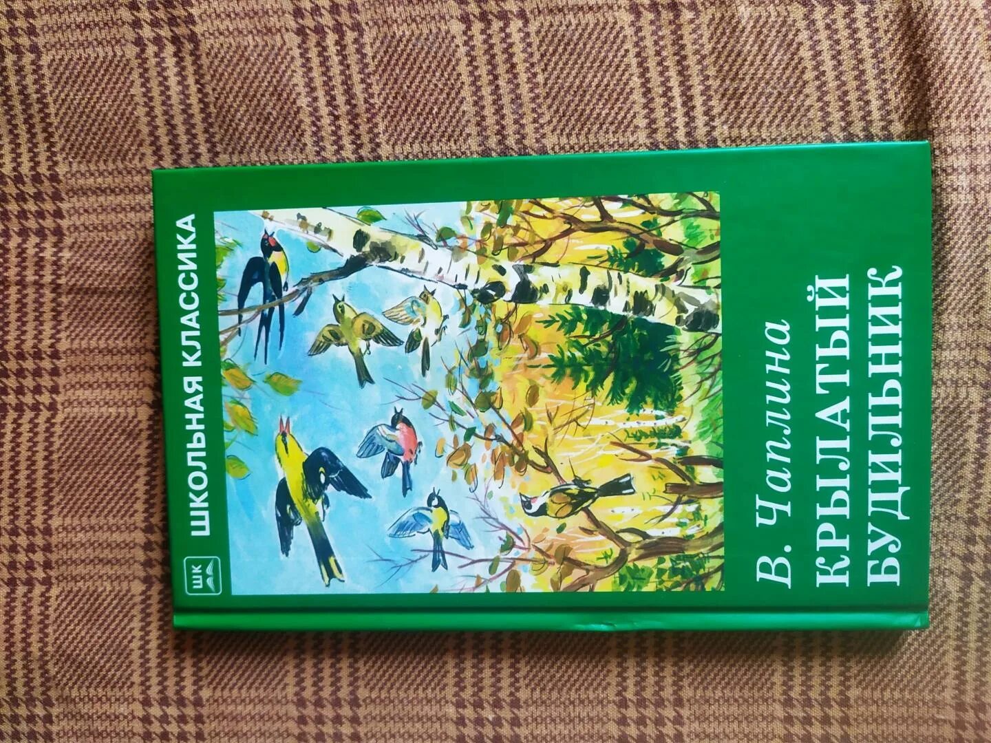 Чаплина крылатый будильник. Рассказ веры Чаплиной крылатый будильник. Книга крылатый будильник.