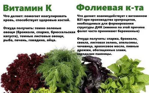 Зелень витамины