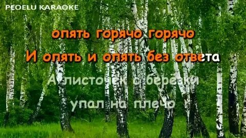 Караоке занозонька матушка