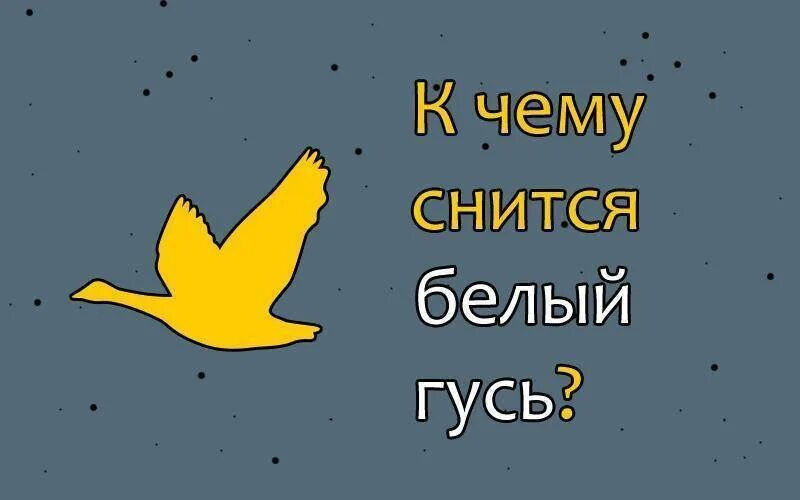 Сон приснился гусь. Гусын госаныч. Сон приснился гусь. Приснились гуси белые. Сон приснился гусь.
