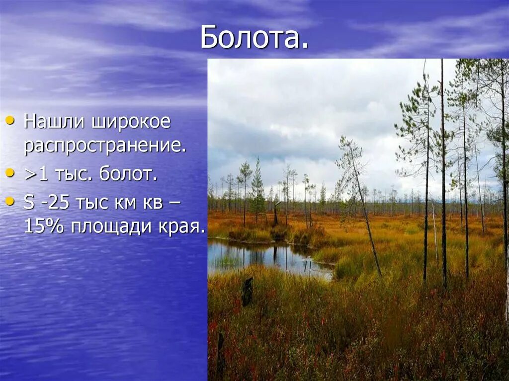 Как называется болото в пермском крае