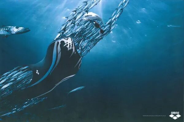 Arena water instinct. Пловцы в arena. Arena water instinct. Arena water instinct. Arena water.
