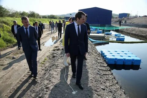 Ново рыбное