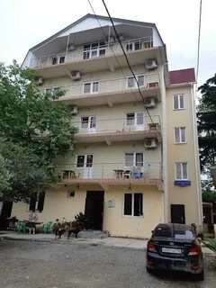 Тюльпаны адлер