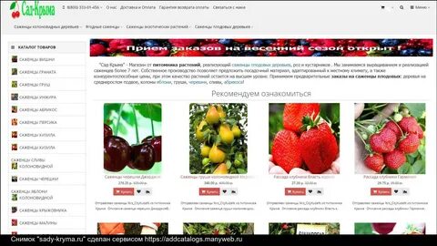 Питомник душа сада каталог