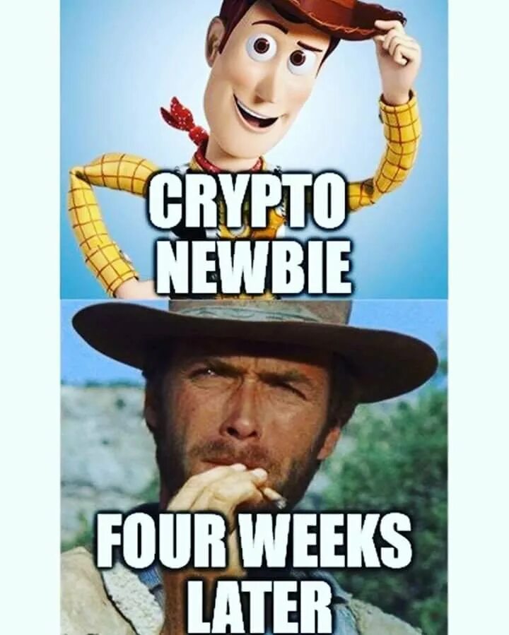 Memefi spills the tea for crypto newbies. Crypto mems. crypto meme. крипто мем. мем фото.