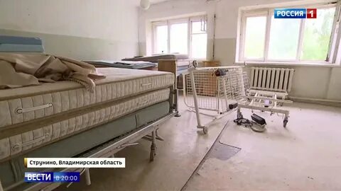 Туту струнино