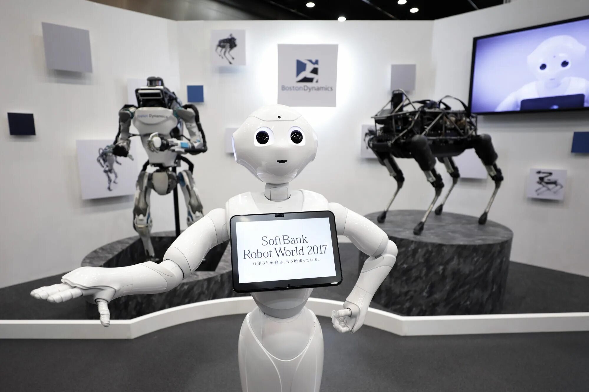 Робот гуманоид Бостон Роботикс. SOFTBANK Robotics: SOFTBANK Robotics. Роботы в банках. Роботы в банке в будущем.