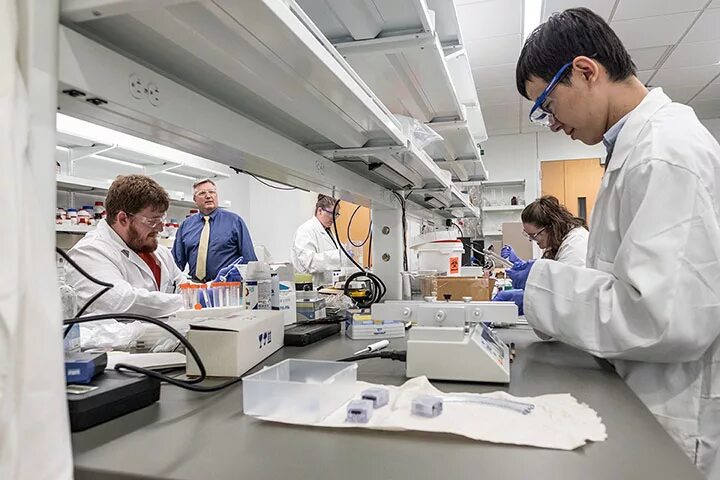 Bio engineer