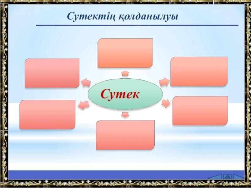 8 б сынып