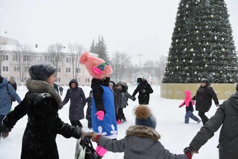 Ели губкин