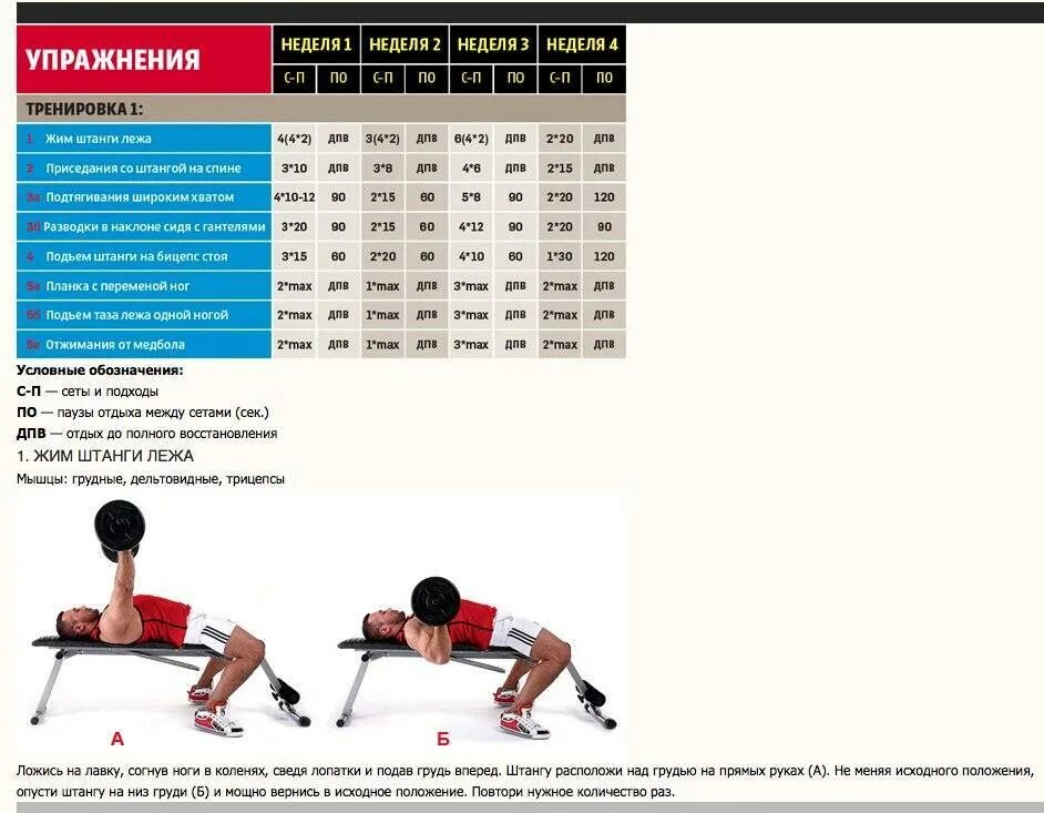 Как увеличить количество раз. План тренировок жим лежа. Схема увеличения жима лежа. Жим штанги план тренировок. Жим штанги лежа для начинающих программа тренировок.