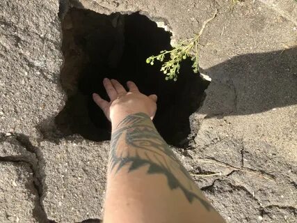 Новости дзен главная сегодня последние