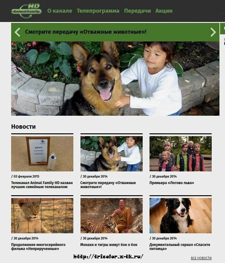 Программа канала про животных. Телеканал animal family. канал про животных. телеканал про животных. отважные питомцы.