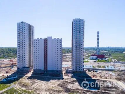 Цветной город развитие