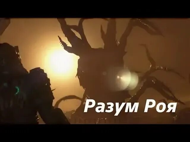 Интеллект из ничего разум роя