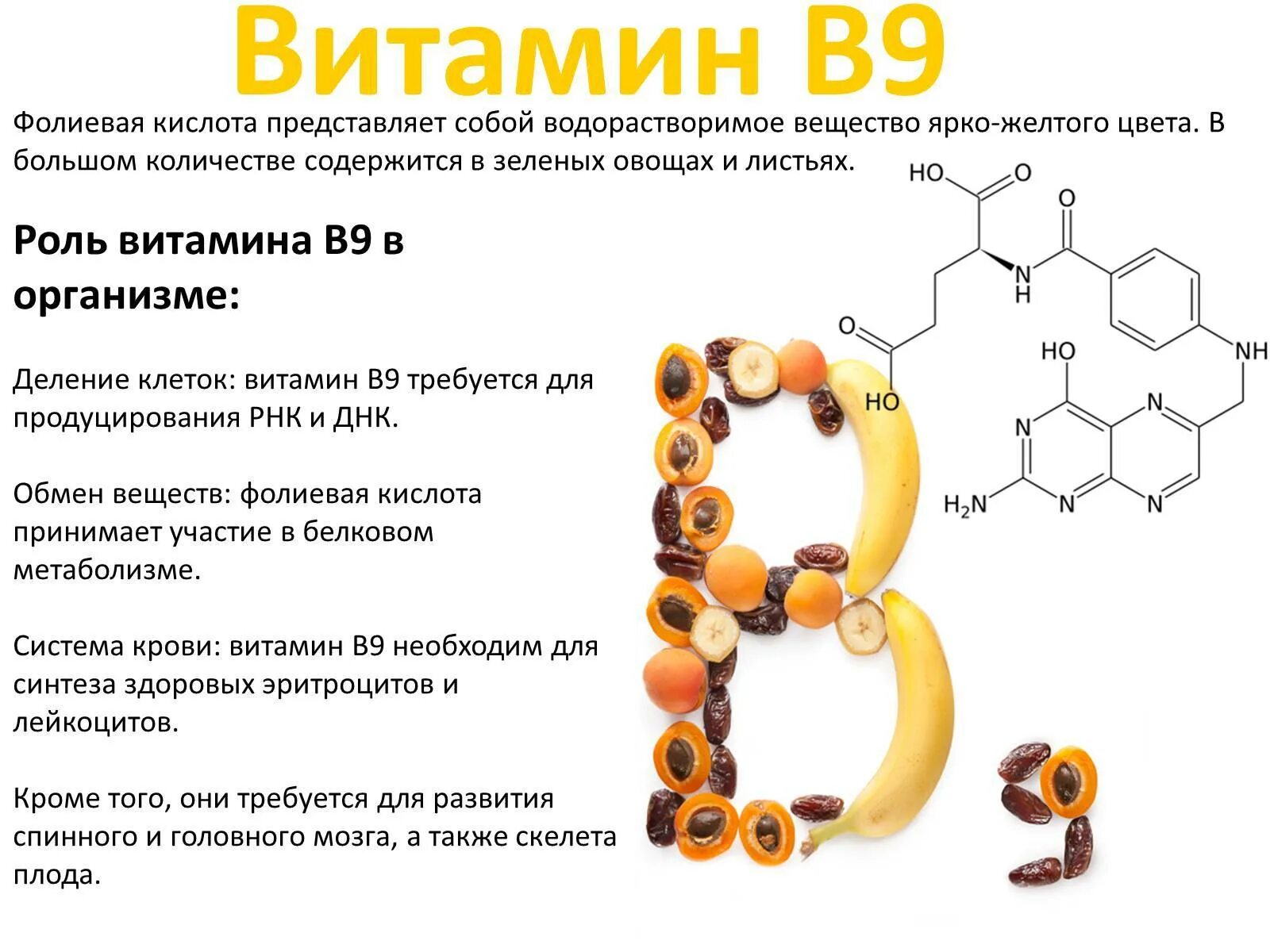 Витамин b9 фолиевая кислота. Фолиевая кислота витамин в9. Витамины группы б9. Витамин b12 и фолиевая кислота продукты. Витамин в12 после 60 лет