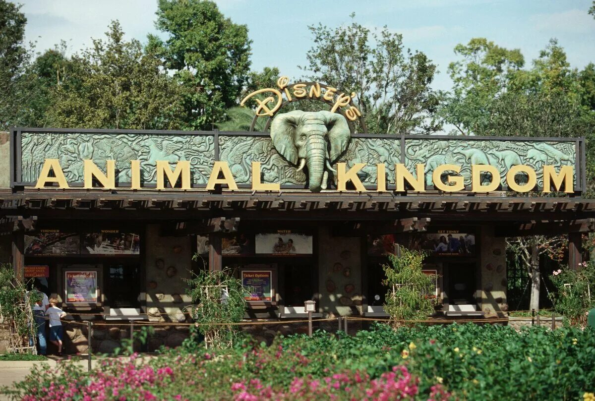 Развлечения зоопарк. Animal Kingdom парк Диснейленда Флориды. Тематический парк Disney animal Kingdom. Штат Флорида World Disney animal Kingdom.