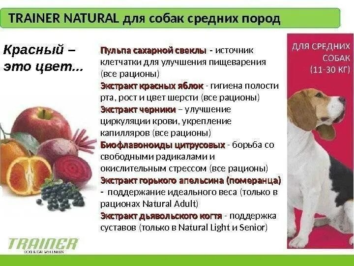 Можно собаке давать фрукты. Продукты для собак. Клетчатки в сухих кормах для собак. Рацион собаки. Диетическое кормление собак.