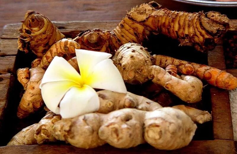 Женьшень имбирь. Женьшень и имбирь. Корень женьшеня фото. Женьшень и имбирь. Женьшень на белом фоне.